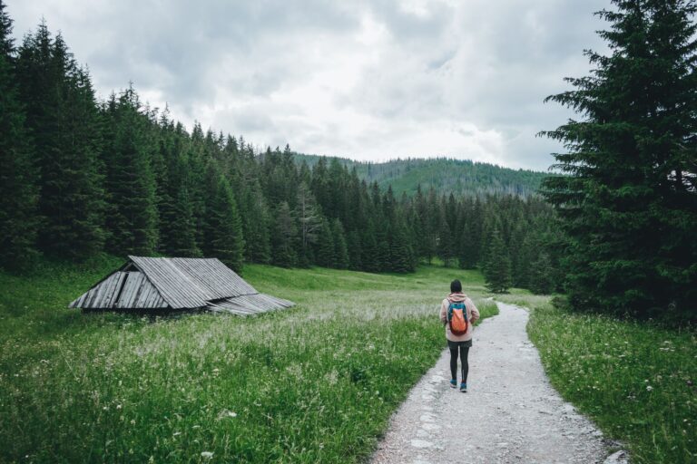 Jak wygląda dzień pracy nauczyciela w Norwegii? Pensum, obowiązki pozalekcyjne i dobrostan